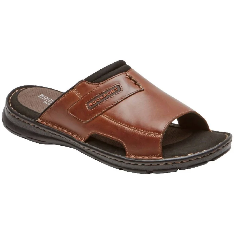 Men's Darwin 2 Slide In Coach Brown